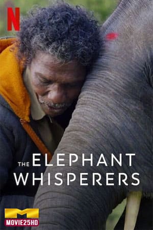 ดูหนังออนไลน์ The Elephant Whisperers (2022) คนกล่อมช้าง ดูหนังออนไลน์ HD
